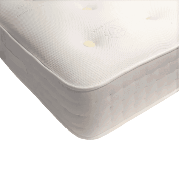 Wilton Adjustable Bed Mattress